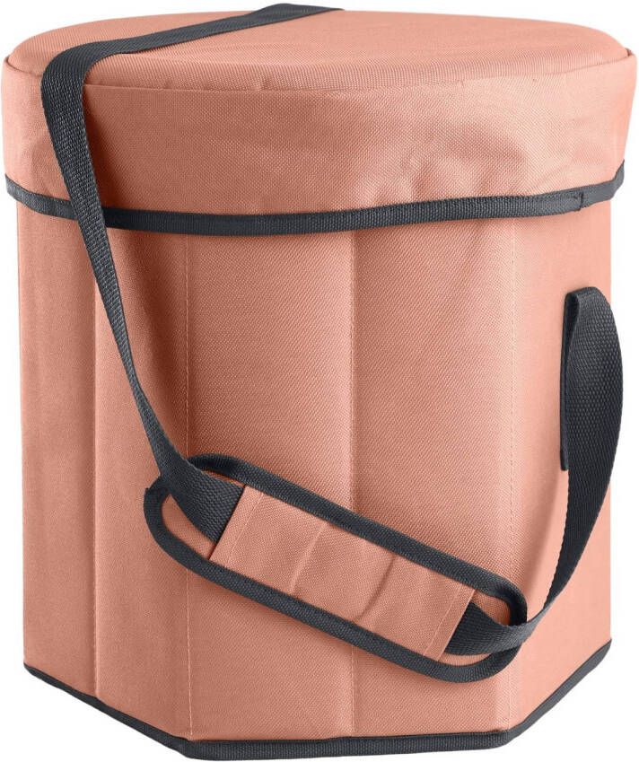 Day Outfit Koelbox Met Zitje 20 Liter Misty Coral