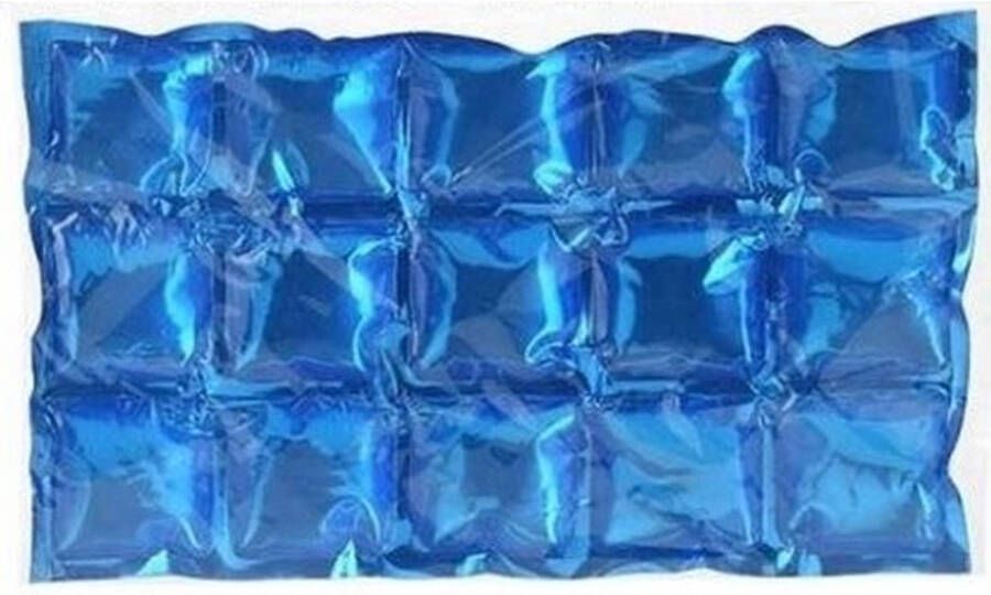 Merkloos 2x Flexibele Koelelementen 15 X 25 Cm Koelelementen