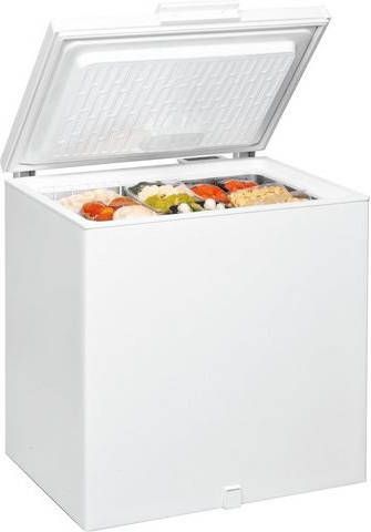 BAUKNECHT Vrieskist GTE 193 A2+(2 )