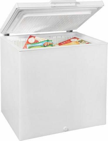 BAUKNECHT Vrieskist GTE 206 A2+(2 )